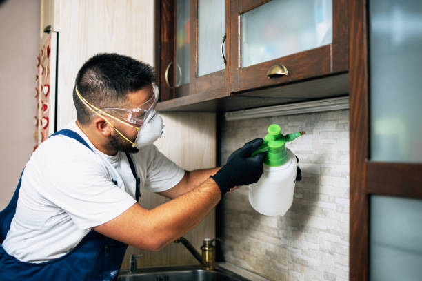 Best Termite Control Services  in Montevlo, AL