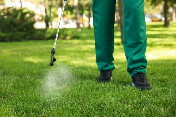 Best Pest Prevention Services  in Montevlo, AL