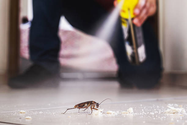 Best Pest Inspection Near Me  in Montevlo, AL