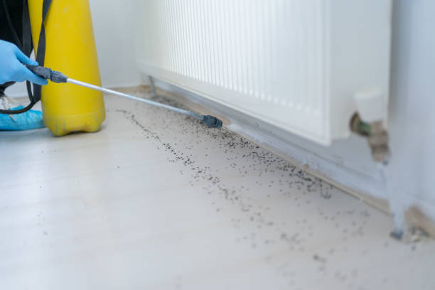 Professional Pest Control in Montevallo, AL